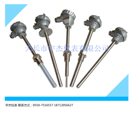 WRNKD-04B電站專(zhuān)用熱電偶